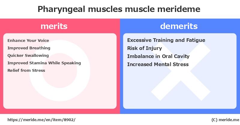 Pharyngeal muscles  merits and demerits?  [muscle]  merideme
