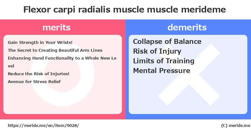Flexor carpi radialis muscle  merits and demerits?  [muscle]  merideme