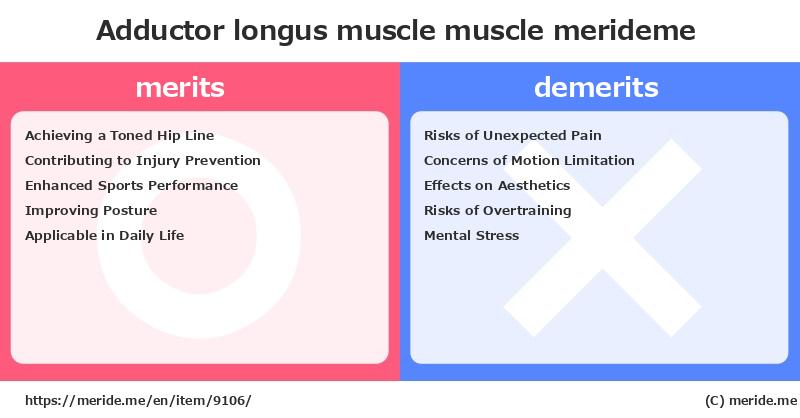 Adductor longus muscle  merits and demerits?  [muscle]  merideme