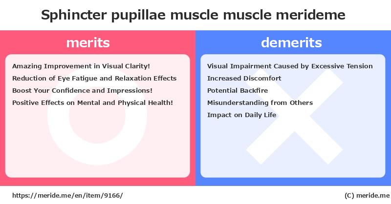 Sphincter pupillae muscle  merits and demerits?  [muscle]  merideme
