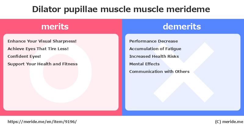Dilator pupillae muscle  merits and demerits?  [muscle]  merideme