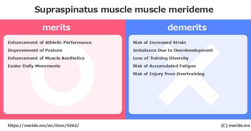 Supraspinatus muscle  merits and demerits?  [muscle]  merideme