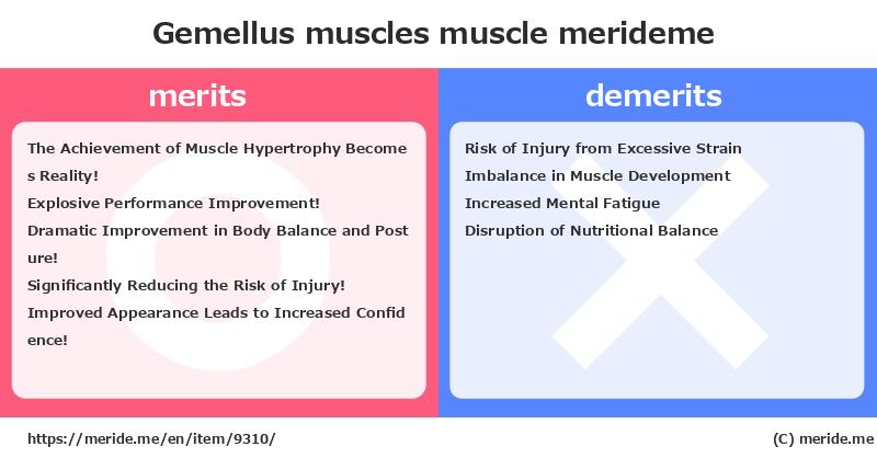 Gemellus muscles  merits and demerits?  [muscle]  merideme