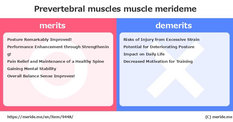 Prevertebral muscles  merits and demerits?  [muscle]  merideme
