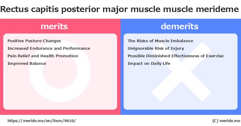 Rectus capitis posterior major muscle  merits and demerits?  [muscle]  merideme