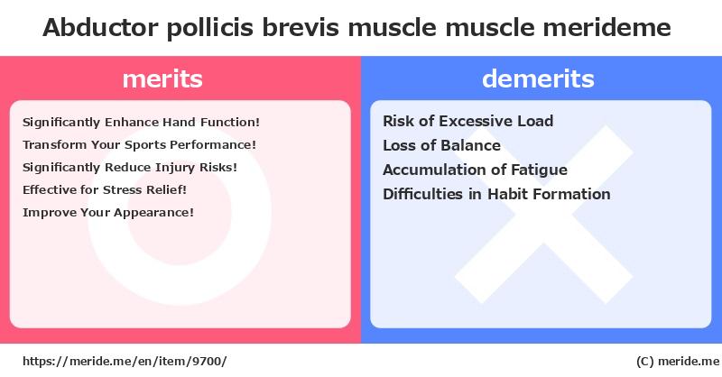 Abductor pollicis brevis muscle  merits and demerits?  [muscle]  merideme