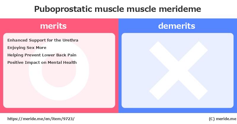 Puboprostatic muscle  merits and demerits?  [muscle]  merideme