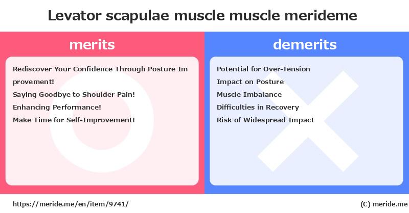 Levator scapulae muscle  merits and demerits?  [muscle]  merideme