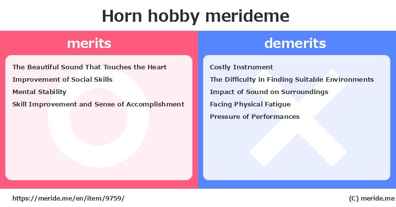 Horn  merits and demerits?  [hobby]  merideme