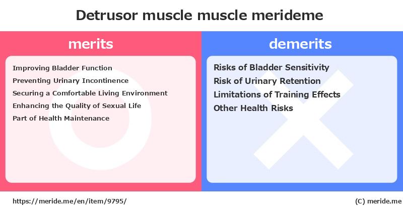 Detrusor muscle  merits and demerits?  [muscle]  merideme