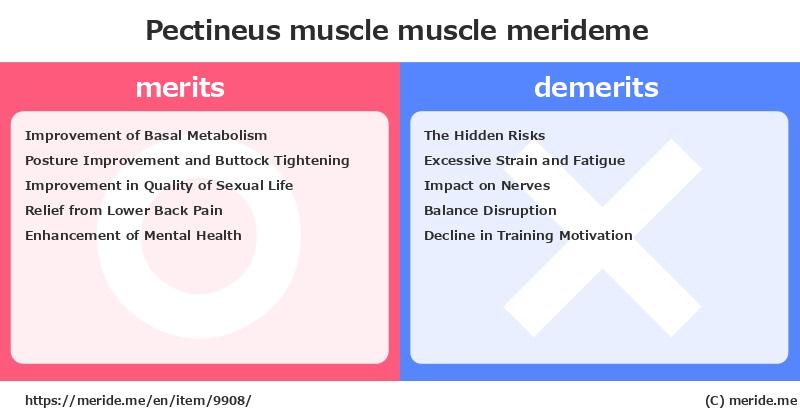 Pectineus muscle  merits and demerits?  [muscle]  merideme