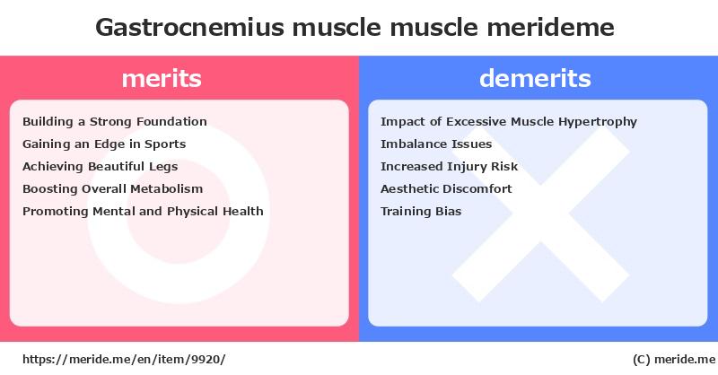 Gastrocnemius muscle  merits and demerits?  [muscle]  merideme